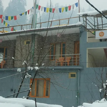 Backpackers Headquarter Manali-3