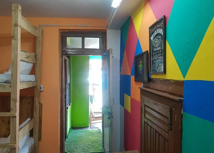 La Siesta India Manali Hostel